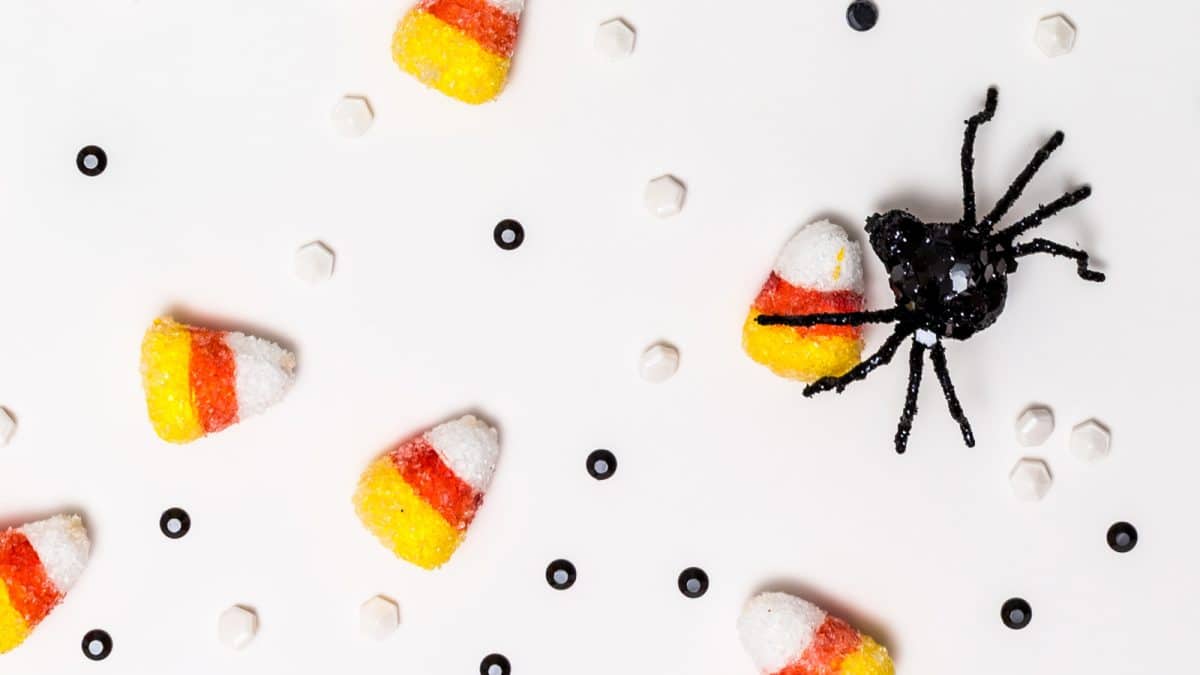 2021 Halloween Chocolate and Candy Sales Are Up Kings Research Read Magazine