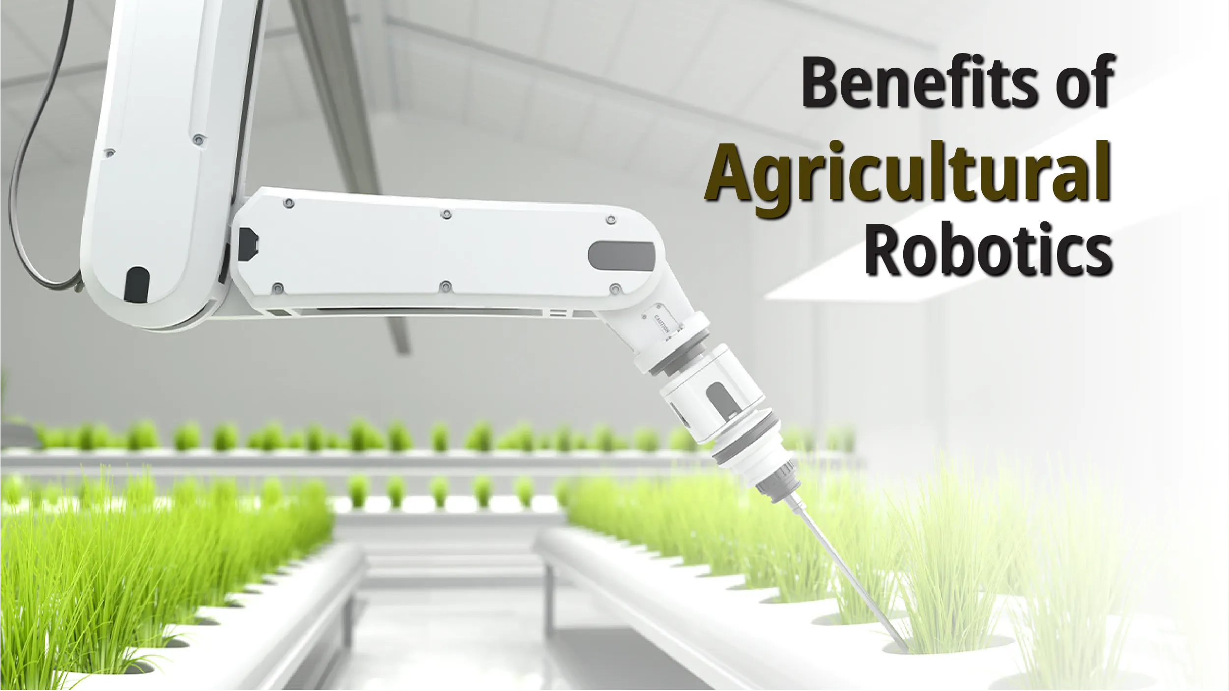 Agricultural Robotics