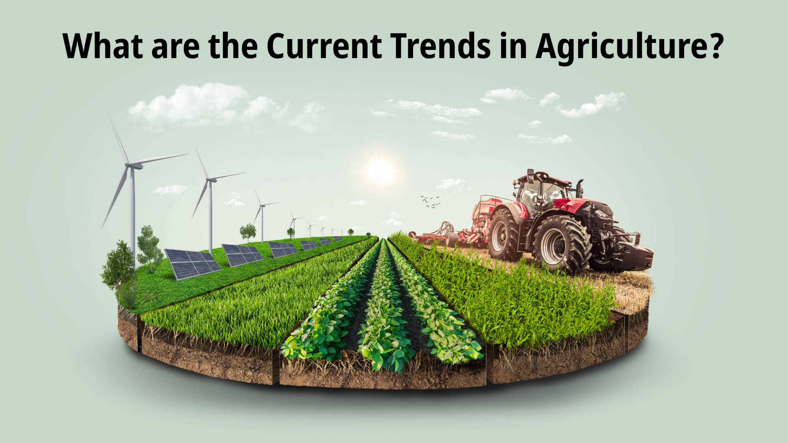 Agriculture-Trends