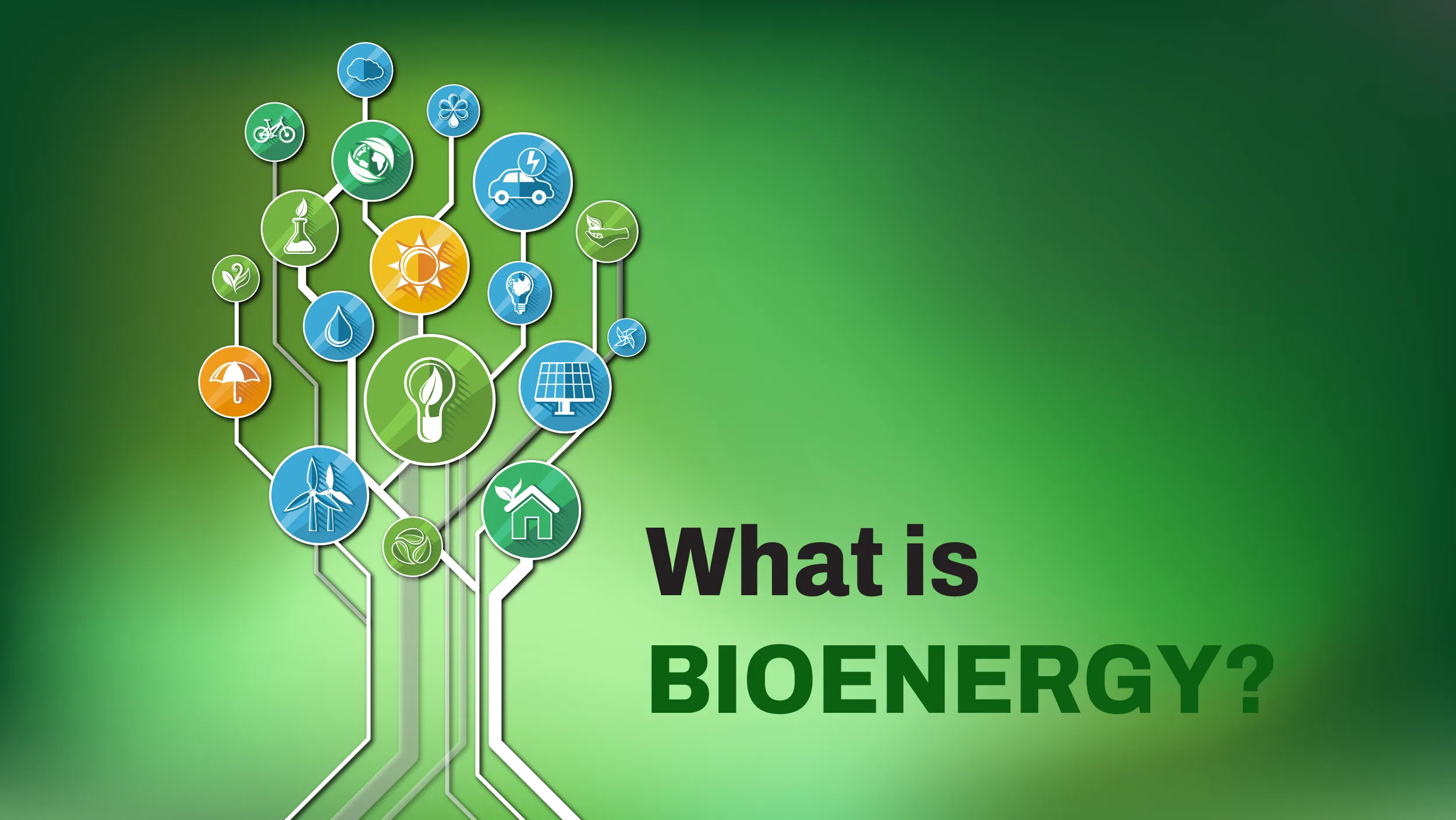 Bioenergy