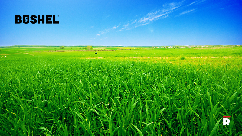 Bushel® Secures 26 Million to Accelerate Digitization in Agriculture