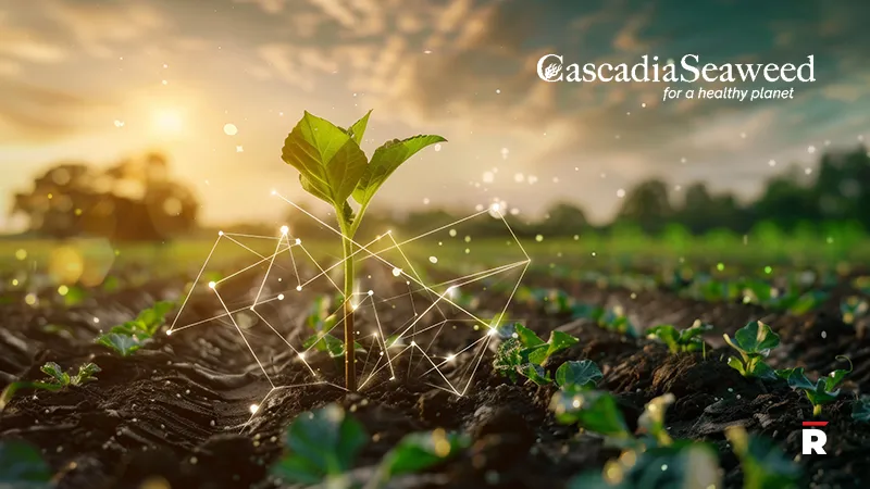 Cascadia Seaweed