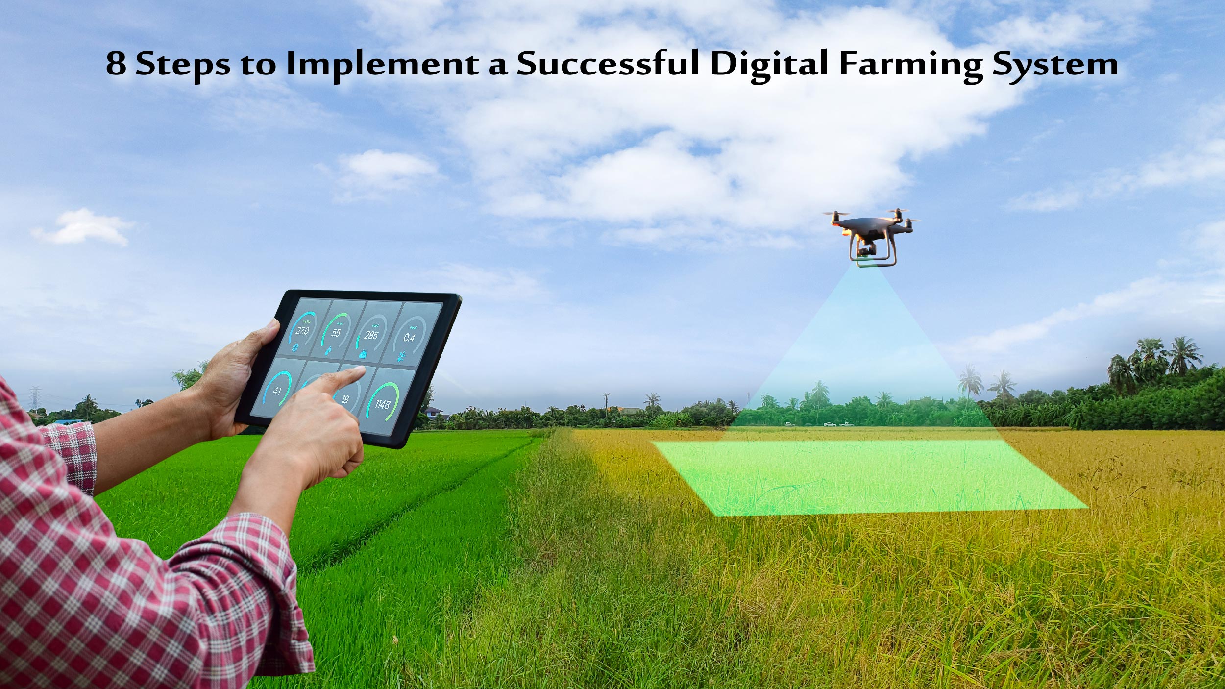 Digital farming