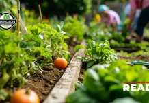 Edible Garden Launches First-to-Market USDA Organic CEA-Grown Basil at Wakefern and ShopRite Edible Garden