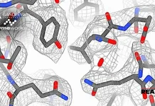 Gandeeva and Zymeworks Use Cryo-EM to Accelerate Drug Discovery Gandeeva