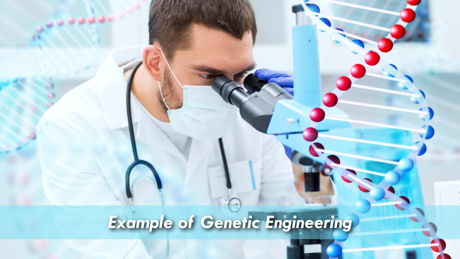 The Ultimate Guide to Understanding Genetic Engineering