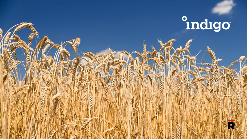 Indigo Ag