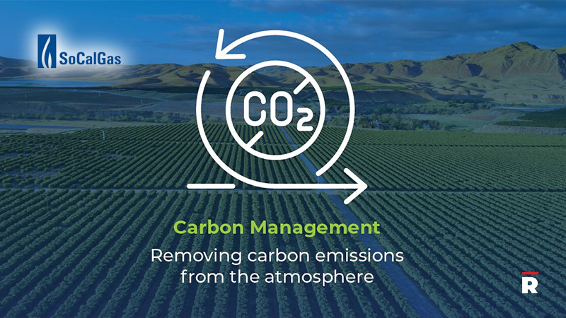 Innovative Hybrid Direct Air Capture Technology Pilot Launches as ...