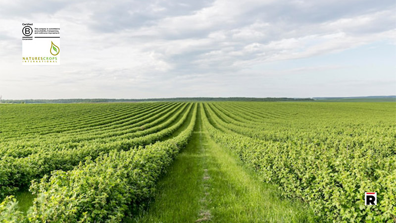 Natures Crops International Achieves B Corp Status