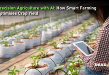 Precision Agriculture with AI: How Smart Farming Optimises Crop Yield Precision Agriculture with AI: How Smart Farming Optimises Crop Yield