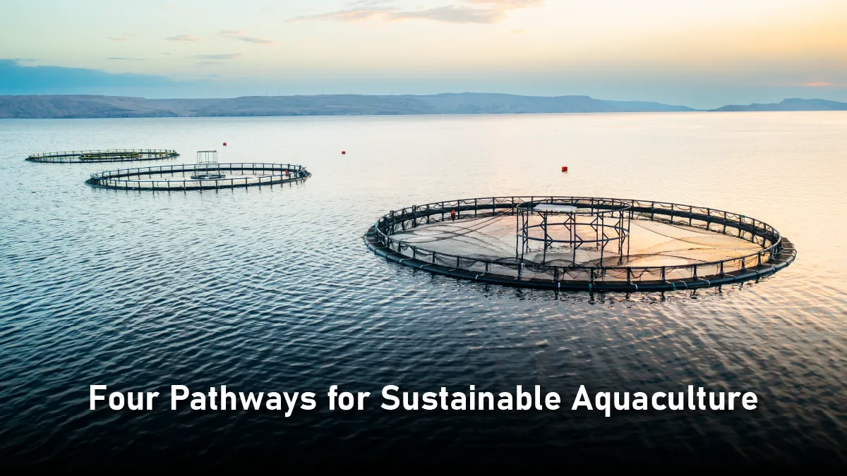 Sustainable Aquaculture