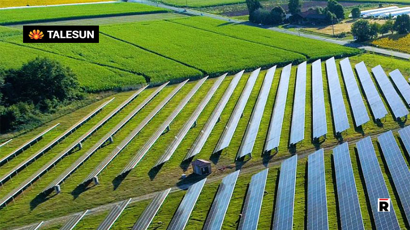 Tedmon Solar Talesun Solar Tie-up With MEM Group Expands Breadth