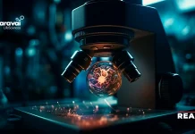 TriLink Strengthens Bioprocessing Infrastructure With GMP Expansion TriLink