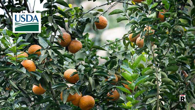 USDA Asks for Help Protecting Citrus in the Lower Rio Grande Valley /Read Magazine