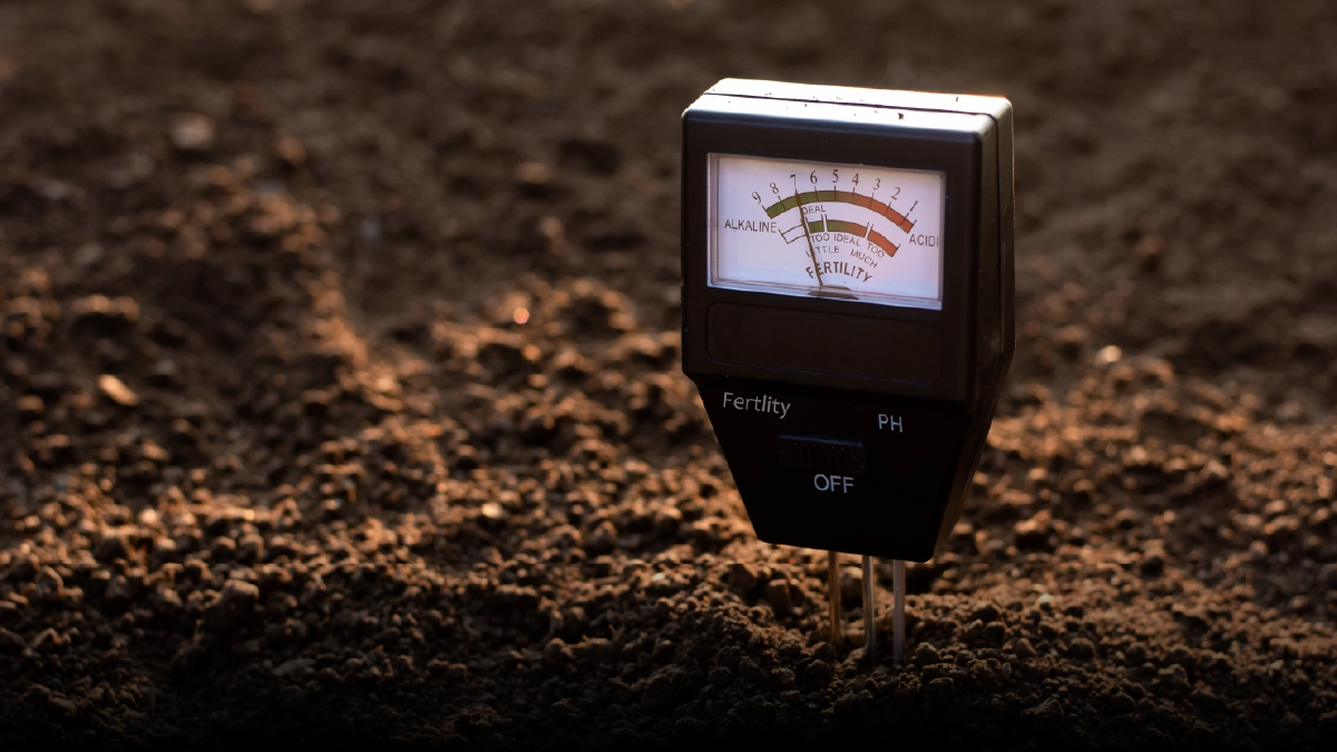 Precision Agriculture with AI: How Smart Farming Optimises Crop Yield