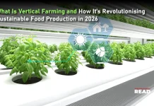 What Is Vertical Farming and How It’s Revolutionising Sustainable Food Production in 2026 Vertical Farming