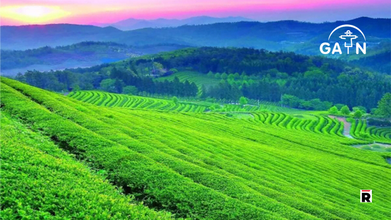 World Agricultural Center Opens in Harbin_ China