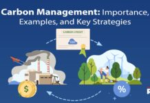 Carbon Management: Importance, Examples, and Key Strategies carbon management